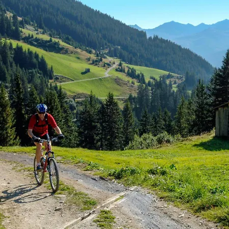 Apartment Le Tetras-4 By Interhome Morzine